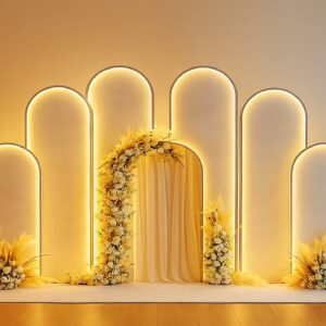 Fond de Scène Lumineux