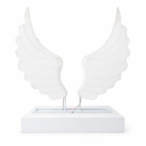 Lumière n°09 Ail d’Ange